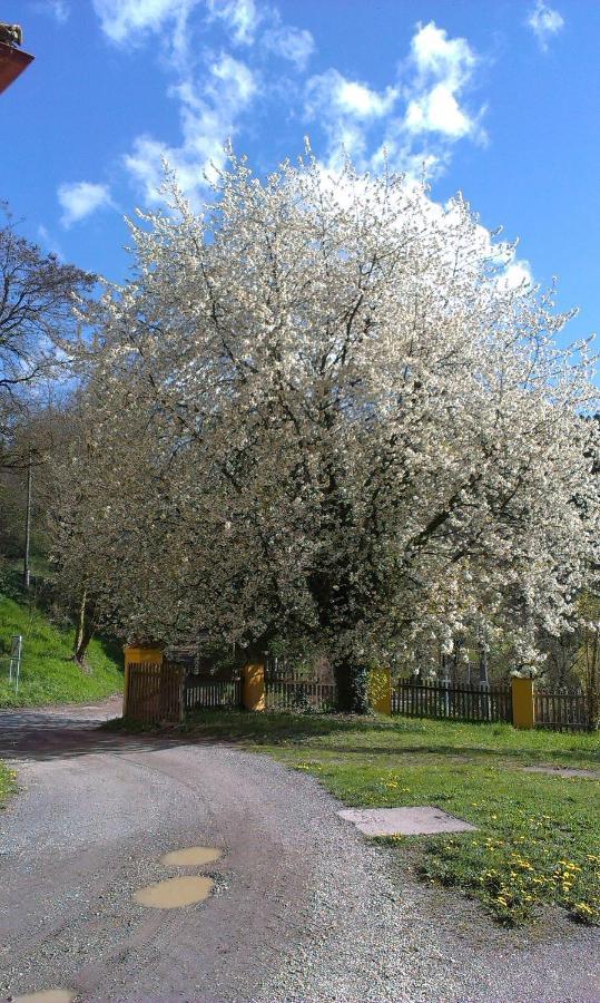 Ferienwohnung Ottmanach Josefhof Pischeldorf ภายนอก รูปภาพ