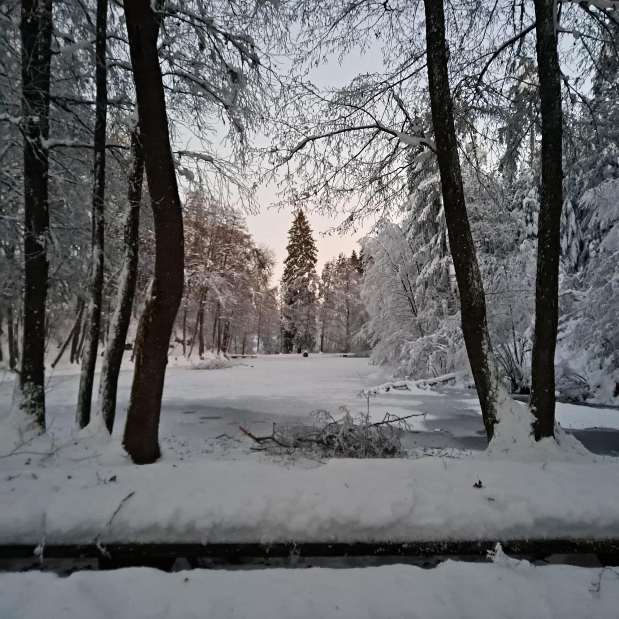 Ferienwohnung Ottmanach Josefhof Pischeldorf ภายนอก รูปภาพ
