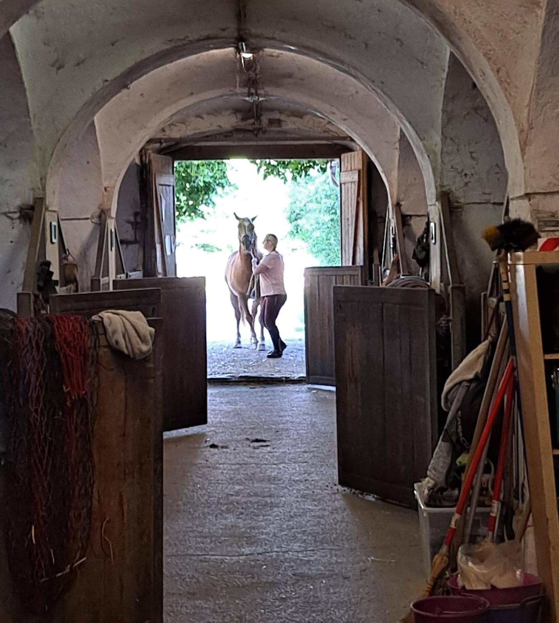 Ferienwohnung Ottmanach Josefhof Pischeldorf ภายนอก รูปภาพ