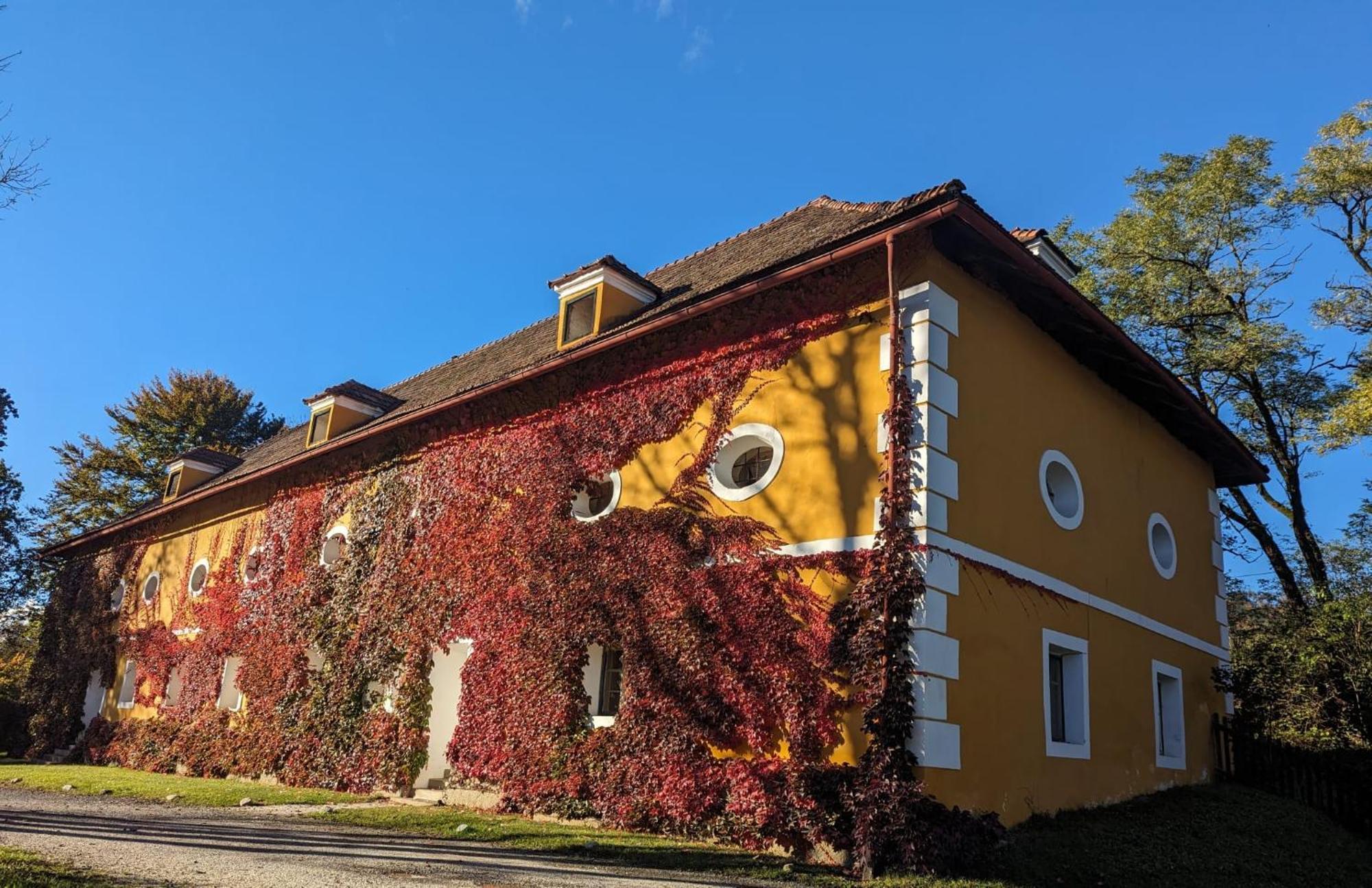 Ferienwohnung Ottmanach Josefhof Pischeldorf ภายนอก รูปภาพ