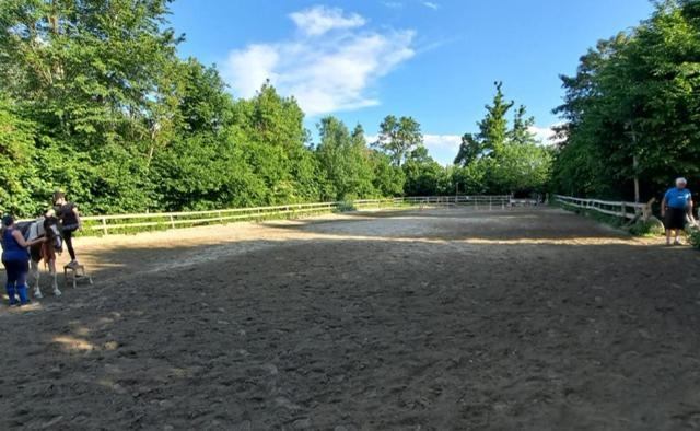 Ferienwohnung Ottmanach Josefhof Pischeldorf ภายนอก รูปภาพ