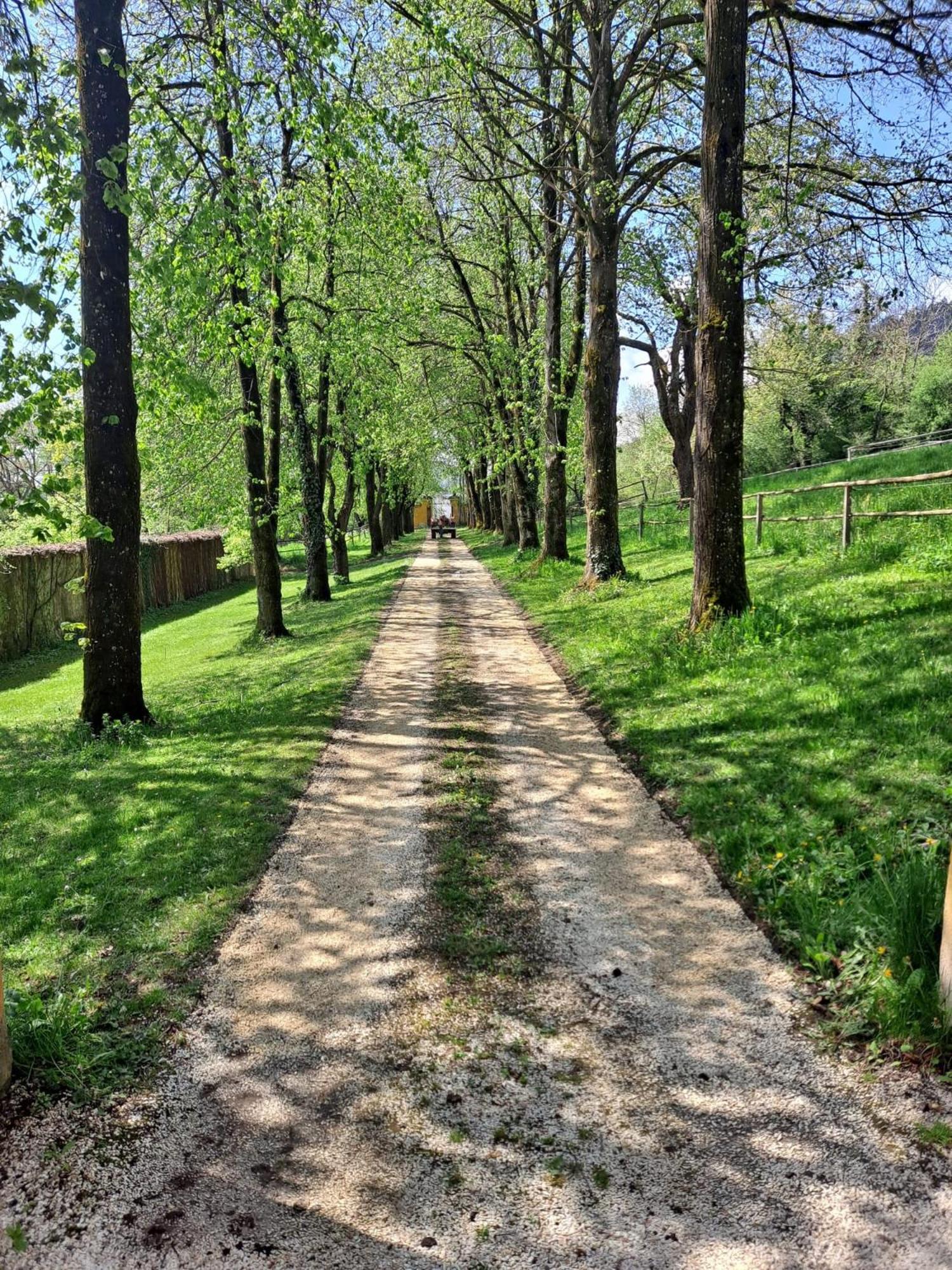 Ferienwohnung Ottmanach Josefhof Pischeldorf ภายนอก รูปภาพ